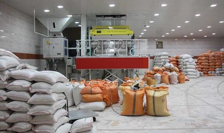 افزون بر ۱۰۰ هزار تن برنج مازاد در گیلان موجود است