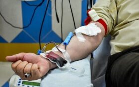 بیش از یک هزار گیلانی در تاسوعا و عاشورا حسینی خون اهدا کردند
