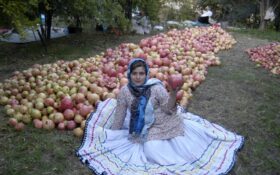 جشنواره شکرانه برداشت انار در روستای انبوه رودبار برگزار شد
