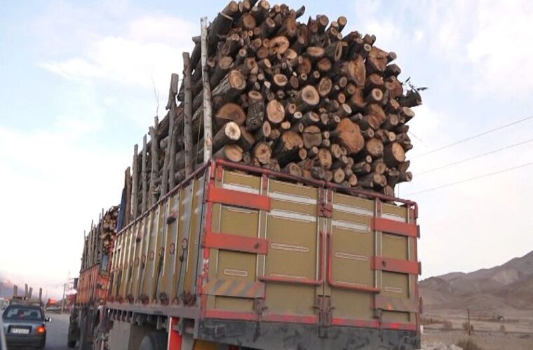 ۲۴ تن چوب قاچاق در غرب گیلان کشف شد