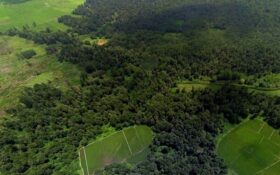 رونمایی پلاک ثبتی میراث جهانی جنگل‌های هیرکانی گشت رودخان