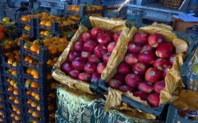 آغاز توزیع میوه و خرما در ۵۱ نقطه استان گیلان