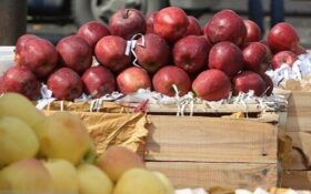 قیمت هر کیلو میوه شب عید تنظیم بازاری در گیلان اعلام شد