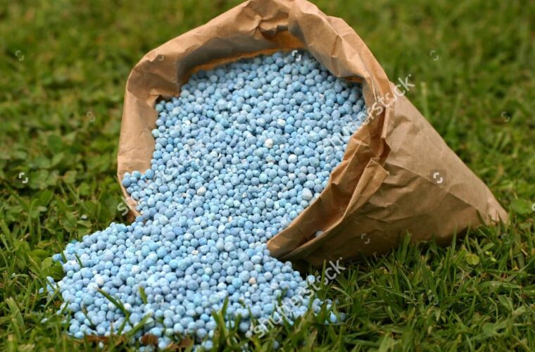 توزیع بیش از ۵۲ هزار تن کود در گیلان توزیع بیش از ۵۲ هزار تن کود در گیلان