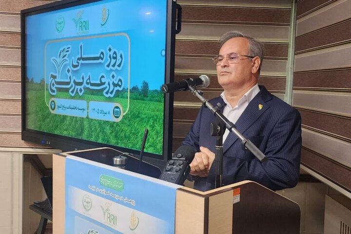 سالانه ۱۸ میلیون مترمکعب آب با ضایعات برنج هدر می رود سالانه ۱۸ میلیون مترمکعب آب با ضایعات برنج هدر می رود