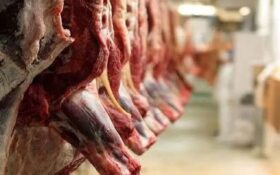 پلمب ۲ قصابی در رضوانشهر برای فروش گوشت فاسد