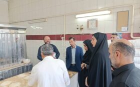 نظارت بر عملکرد واحدهای نانوایی در تمام بخش‌های رشت ادامه دارد