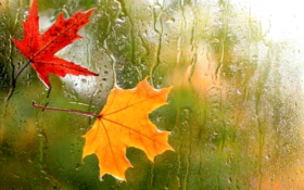 گیلان در آستانه ورود موج بارشی