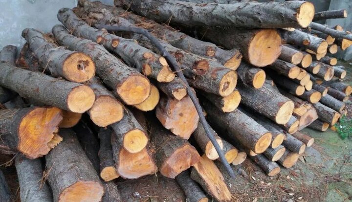 کشف ۳۰ مترمکعب چوبآلات قاچاق از مبدا گیلان در استان همجوار کشف ۳۰ مترمکعب چوبآلات قاچاق از مبدا گیلان در استان همجوار